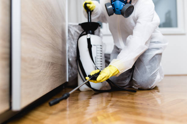 Best Mosquito Control Services  in South Bay, FL