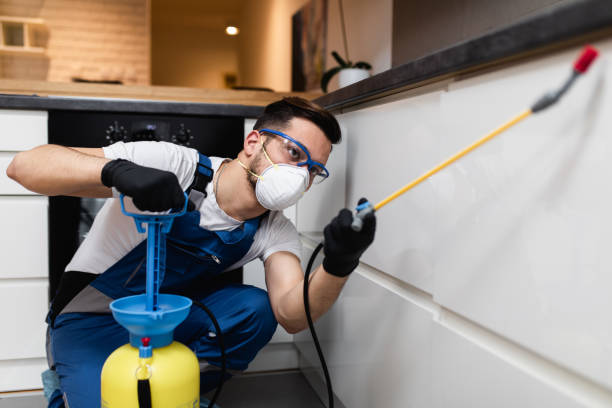 Best Mosquito Control Services  in South Bay, FL