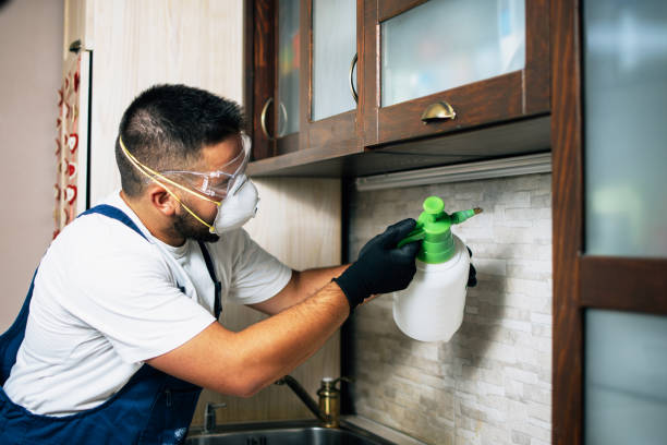 Best Best Pest Control Companies  in South Bay, FL