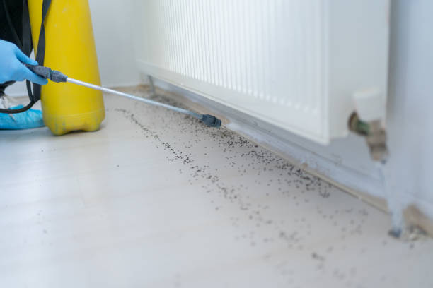 Reliable South Bay, FL Pest Control Solutions